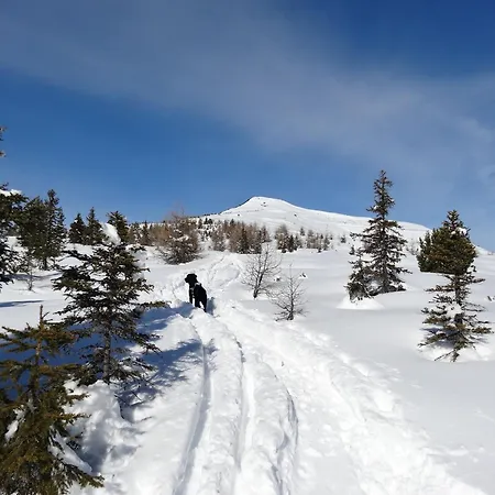 Apartamento Berghütte Ahornblick